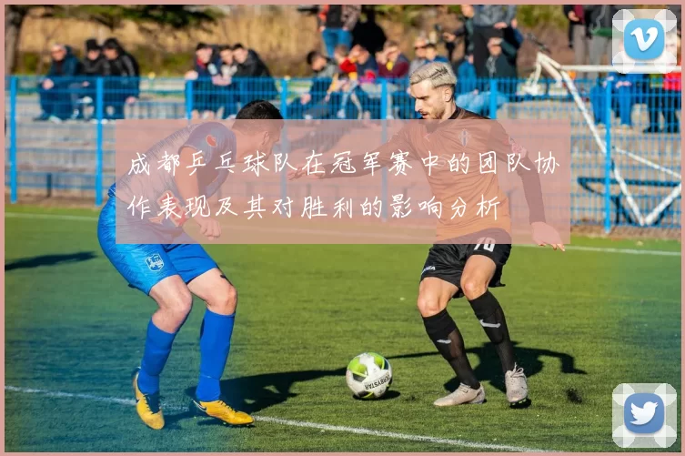 成都乒乓球队在冠军赛中的团队协作表现及其对胜利的影响分析