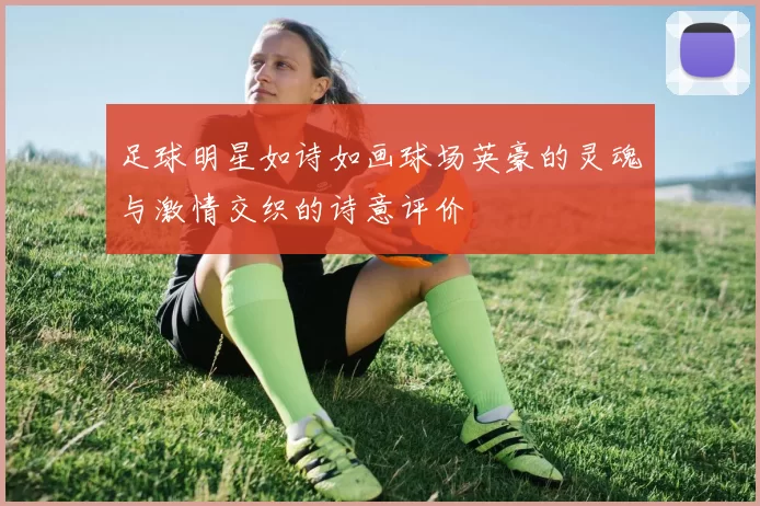 足球明星如诗如画球场英豪的灵魂与激情交织的诗意评价