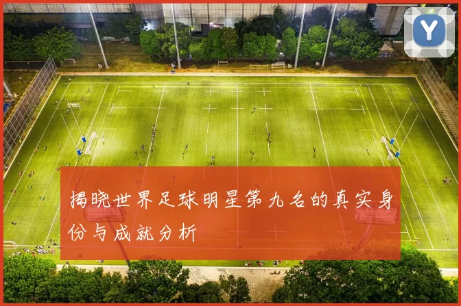 揭晓世界足球明星第九名的真实身份与成就分析