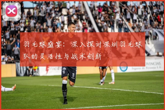 羽毛球盛宴：深入探讨深圳羽毛球队的灵活性与战术创新