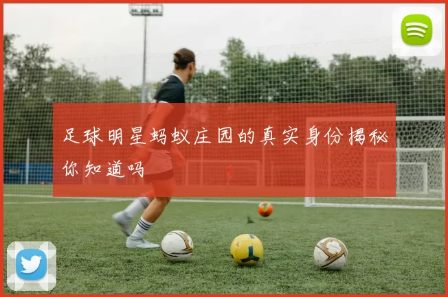 足球明星蚂蚁庄园的真实身份揭秘你知道吗