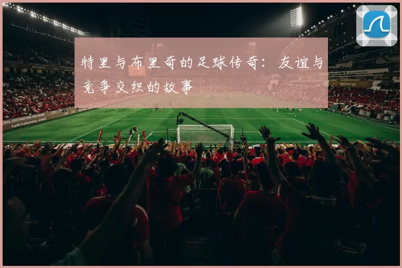 特里与布里奇的足球传奇：友谊与竞争交织的故事