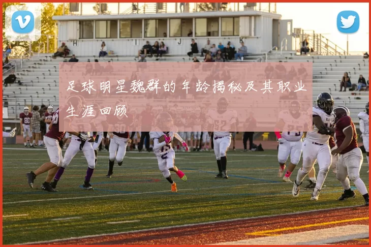 足球明星魏群的年龄揭秘及其职业生涯回顾