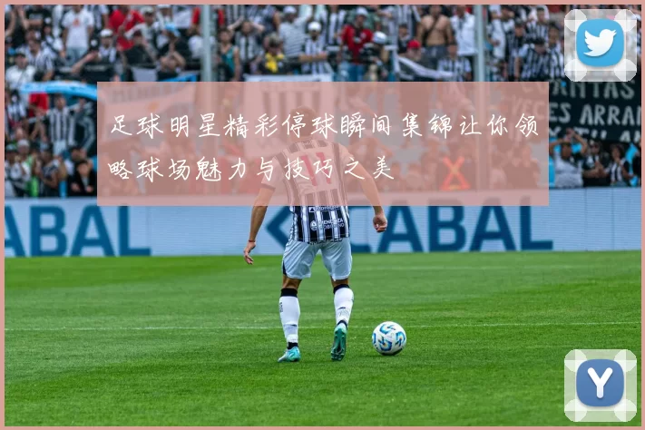 足球明星精彩停球瞬间集锦让你领略球场魅力与技巧之美