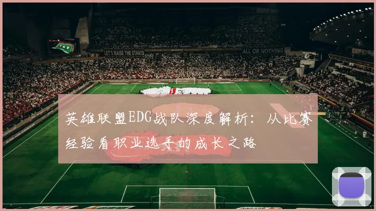 英雄联盟EDG战队深度解析：从比赛经验看职业选手的成长之路
