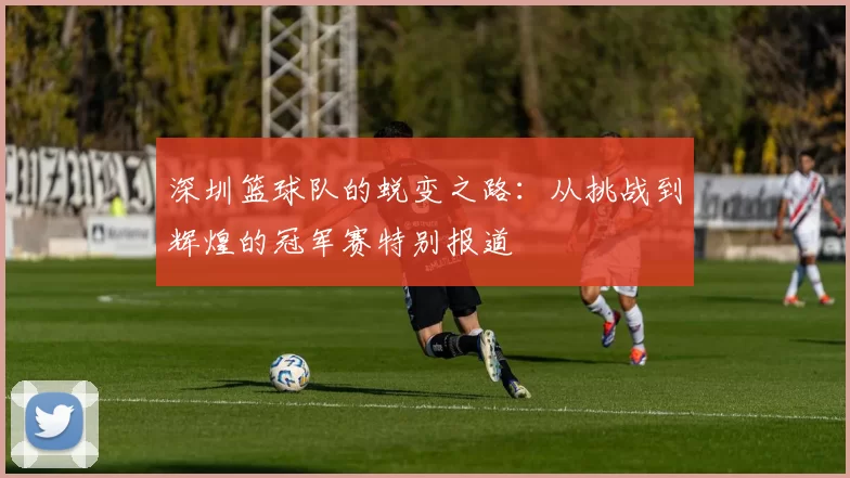 深圳篮球队的蜕变之路：从挑战到辉煌的冠军赛特别报道