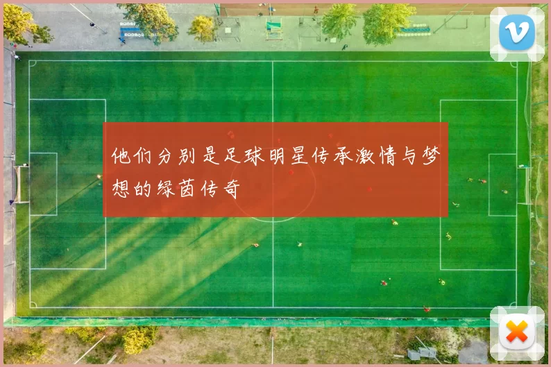 他们分别是足球明星传承激情与梦想的绿茵传奇