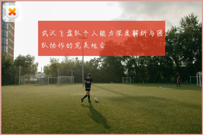 武汉飞盘队个人能力深度解析与团队协作的完美结合