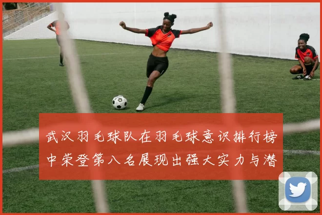 武汉羽毛球队在羽毛球意识排行榜中荣登第八名展现出强大实力与潜力
