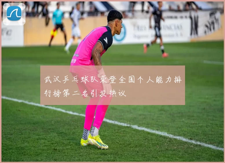 武汉乒乓球队荣登全国个人能力排行榜第二名引发热议