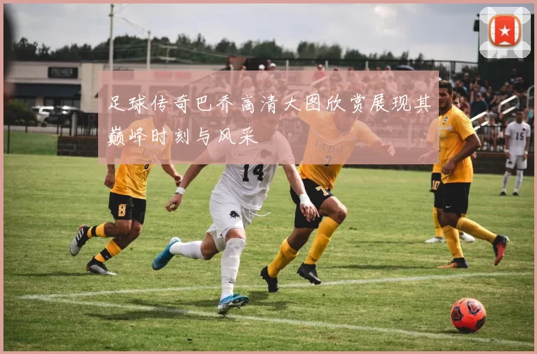 足球传奇巴乔高清大图欣赏展现其巅峰时刻与风采