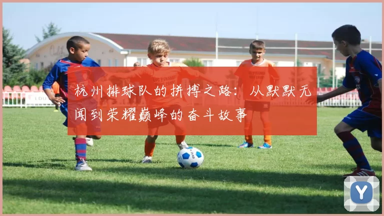 杭州排球队的拼搏之路：从默默无闻到荣耀巅峰的奋斗故事