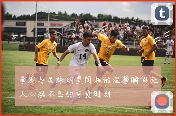 萌宠与足球明星同框的温馨瞬间让人心动不已的可爱时刻
