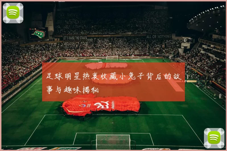 足球明星热衷收藏小兔子背后的故事与趣味揭秘