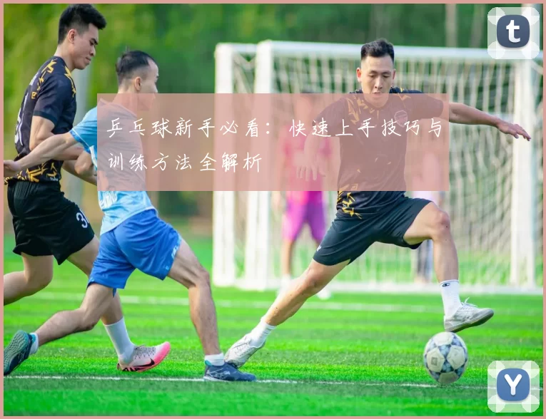 乒乓球新手必看：快速上手技巧与训练方法全解析