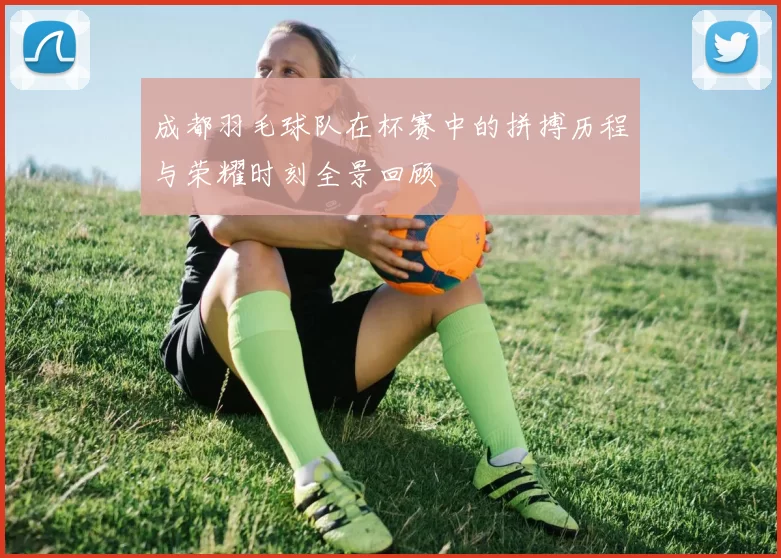 成都羽毛球队在杯赛中的拼搏历程与荣耀时刻全景回顾