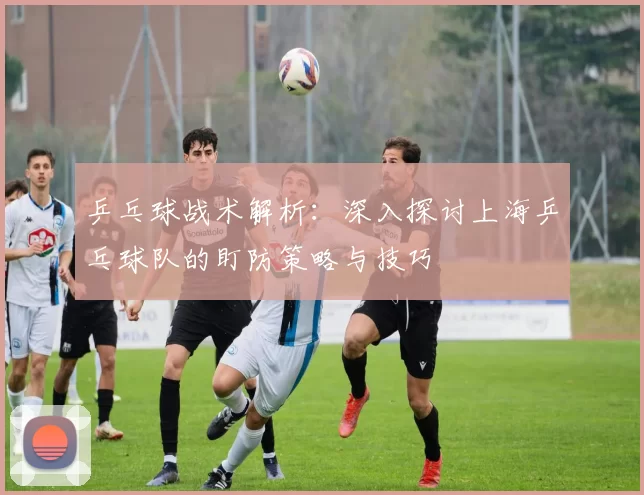 乒乓球战术解析：深入探讨上海乒乓球队的盯防策略与技巧