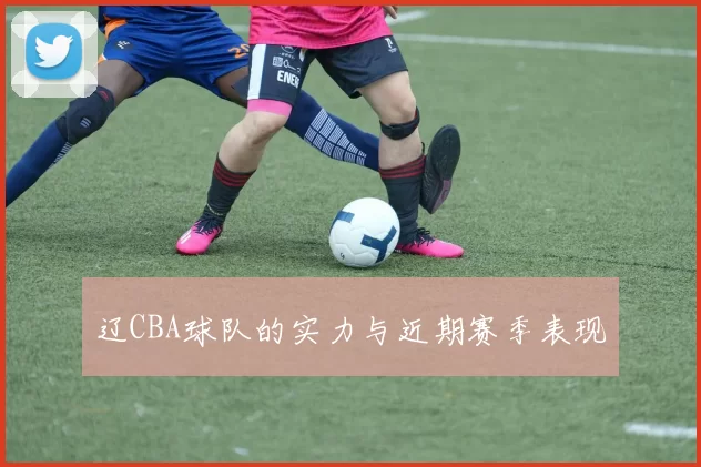 辽CBA球队的实力与近期赛季表现