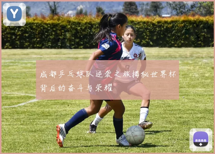 成都乒乓球队逆袭之旅揭秘世界杯背后的奋斗与荣耀