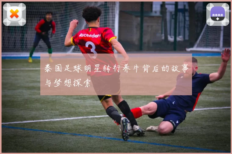 泰国足球明星转行养牛背后的故事与梦想探索