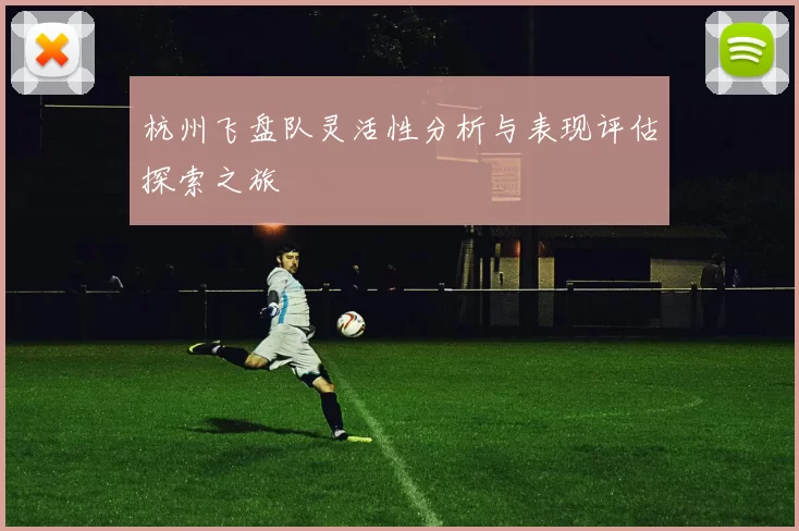 杭州飞盘队灵活性分析与表现评估探索之旅