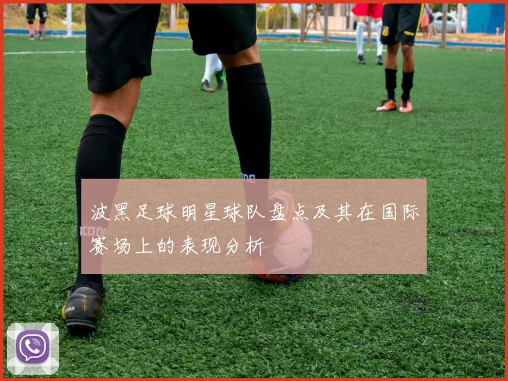 波黑足球明星球队盘点及其在国际赛场上的表现分析