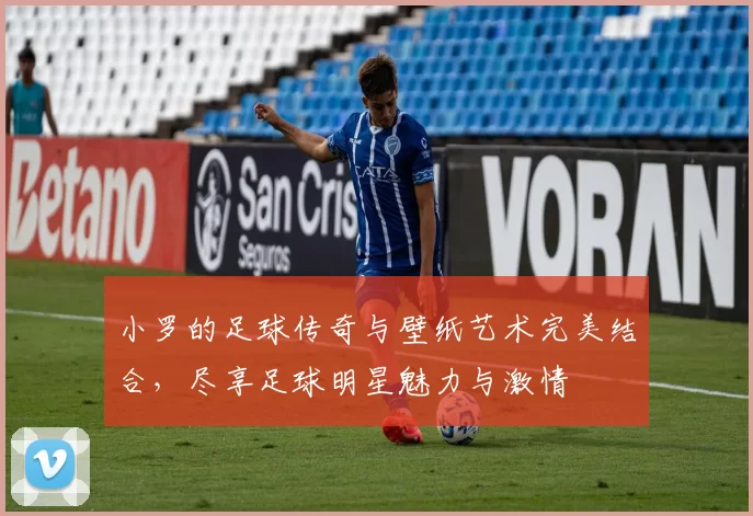 小罗的足球传奇与壁纸艺术完美结合，尽享足球明星魅力与激情