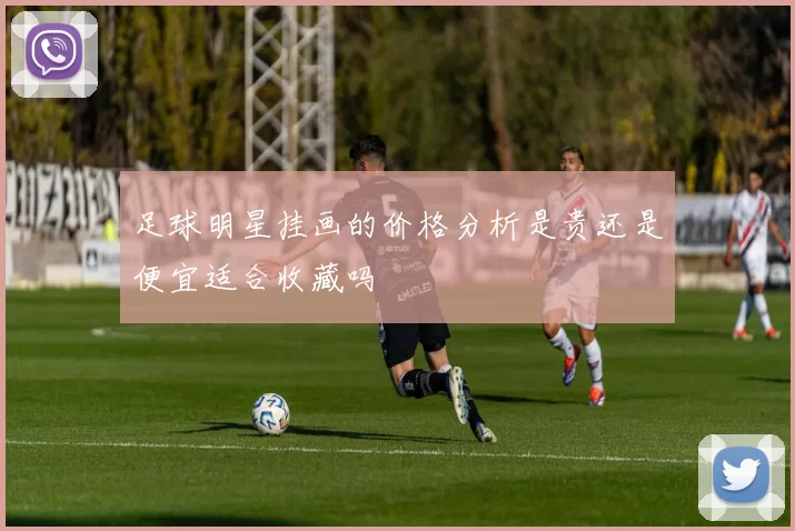 足球明星挂画的价格分析是贵还是便宜适合收藏吗
