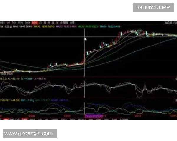 上海羽毛球队防守策略分析与比赛表现评估 上海羽毛球队防守策略分析与比赛表现评估