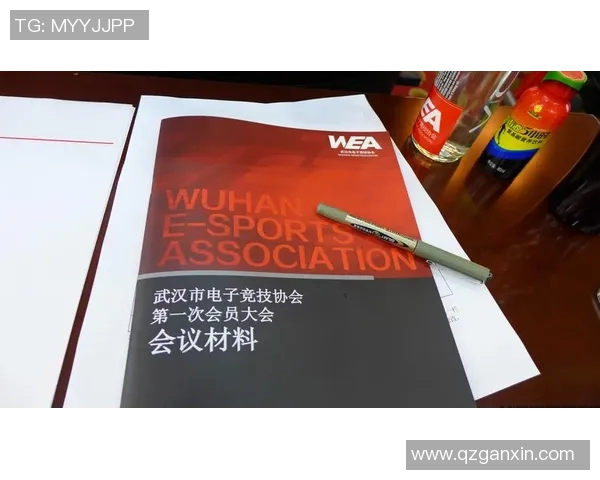 刘敏专访：从职业赛场到电竞文化的传承与发展之路